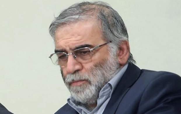 اِلمان «شهید فخریزاده» در آبسرد رونمایی شد اِلمان «شهید فخریزاده» در آبسرد رونمایی شد
