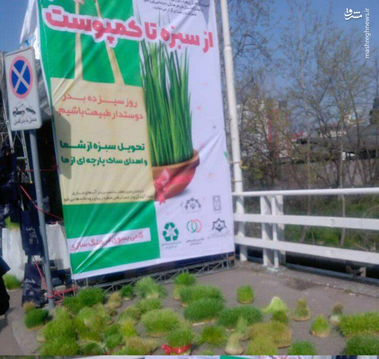 عکس/ اقدامی زیبا در روز ۱۳ بدر