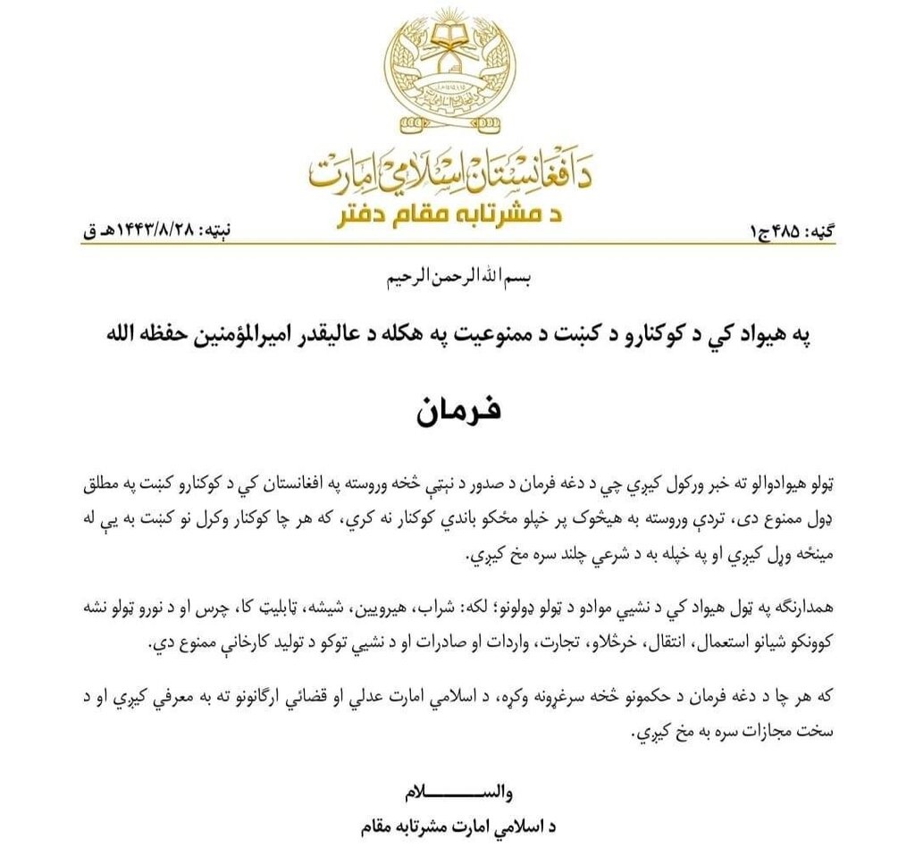 دستور تازه طالبان درباره کشت مواد مخدر دستور تازه طالبان درباره کشت مواد مخدر