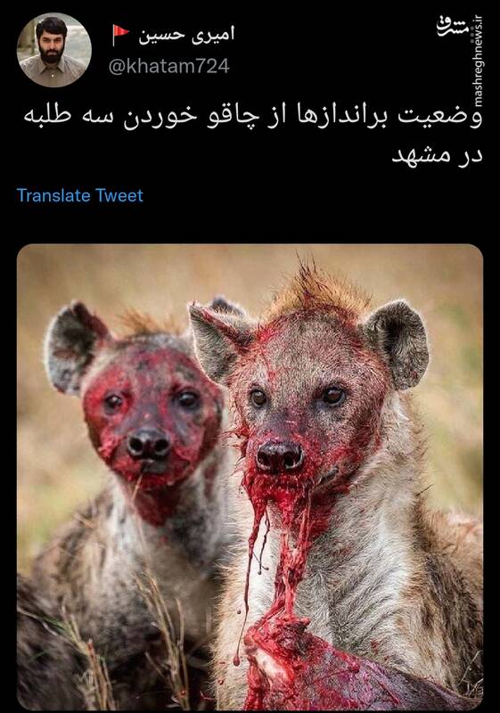 وضعیت براندازها از چاقو خوردن سه طلبه در مشهد+عکس