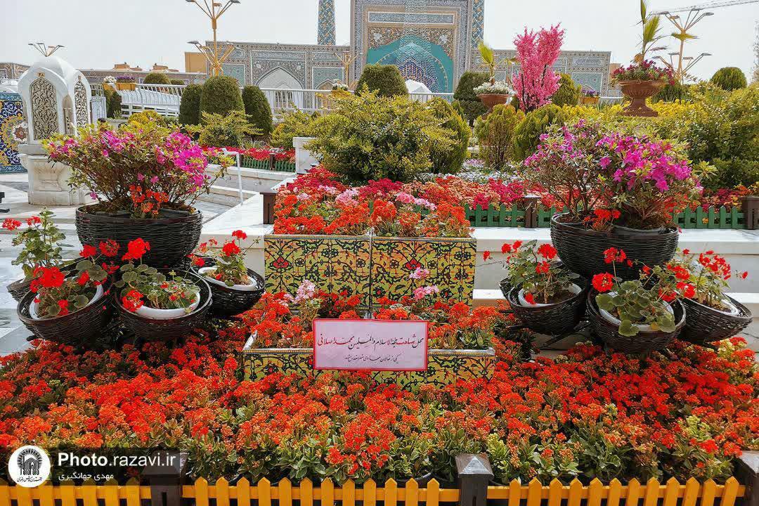 عکس/ گل آرائی محل شهادت حاج شیخ محمد اصلانی