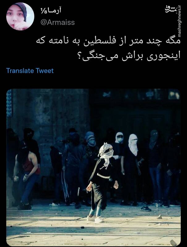 چند متر از فلسطین به نامته که اینجوری براش می‌جنگی؟ +عکس