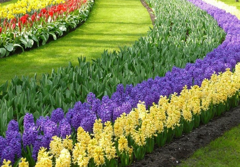 صلوات شعبانیه| راهکاری برای آبادانی قلب صلوات شعبانیه| راهکاری برای آبادانی قلب