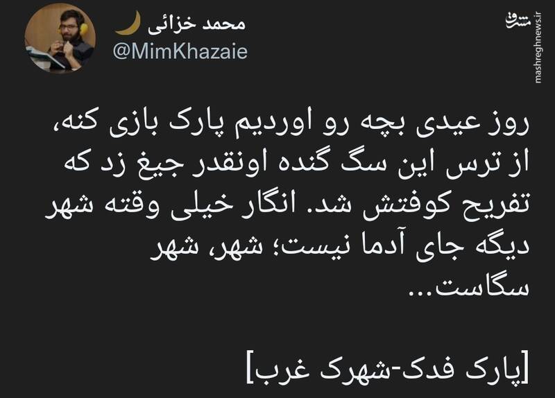 شهر، شهر سگاست...+عکس