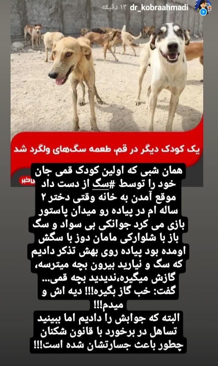 تساهلی که باعث جسارت قانون شکنان شده! تساهلی که باعث جسارت قانون شکنان شده!