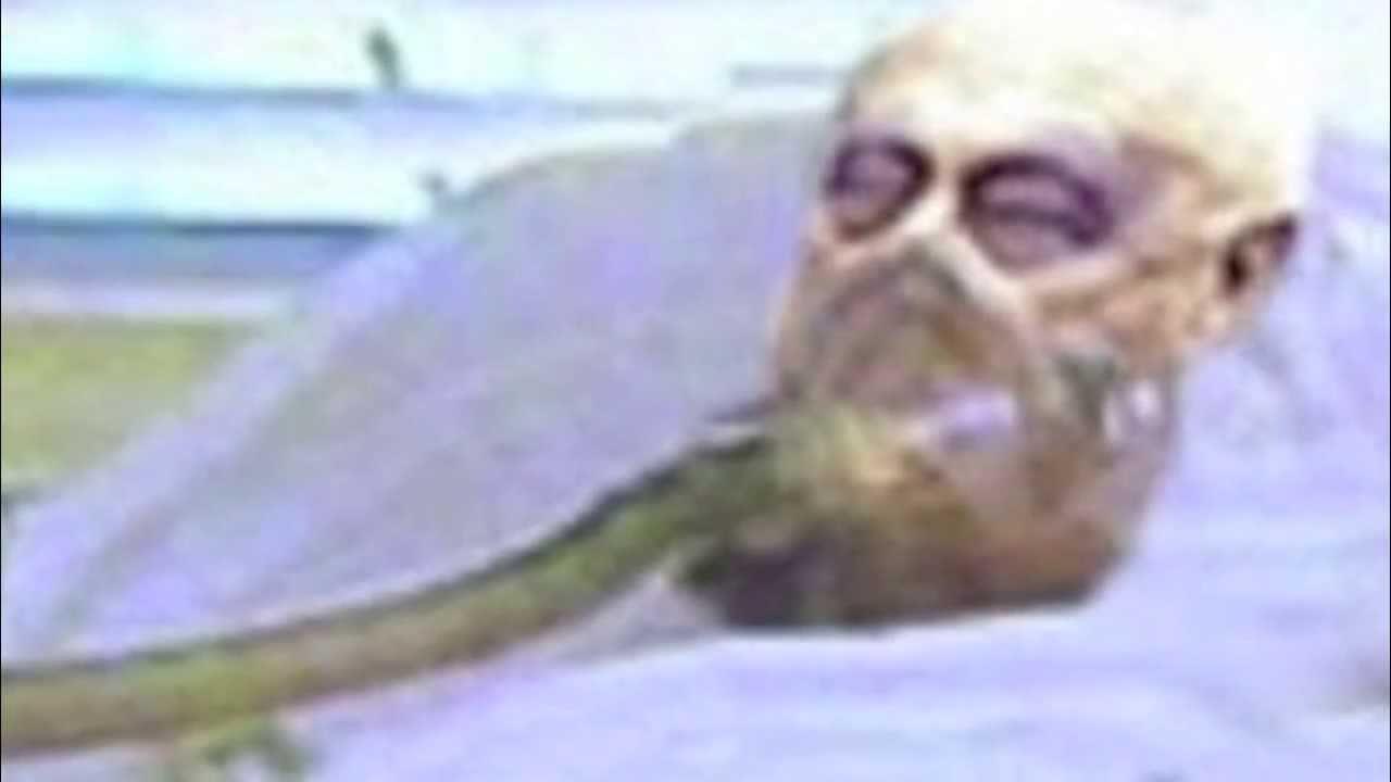 حال خوب و ۴۸ ساعت سانسور! حال خوب و ۴۸ ساعت سانسور!