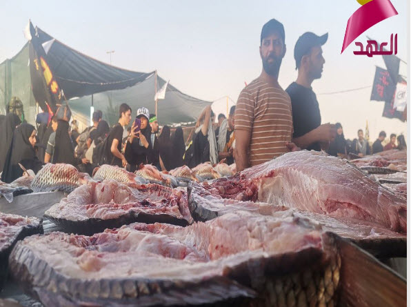 میهمان‌نوازی خالصانه عراقی‌ها از زائران ایرانی/تصاویر