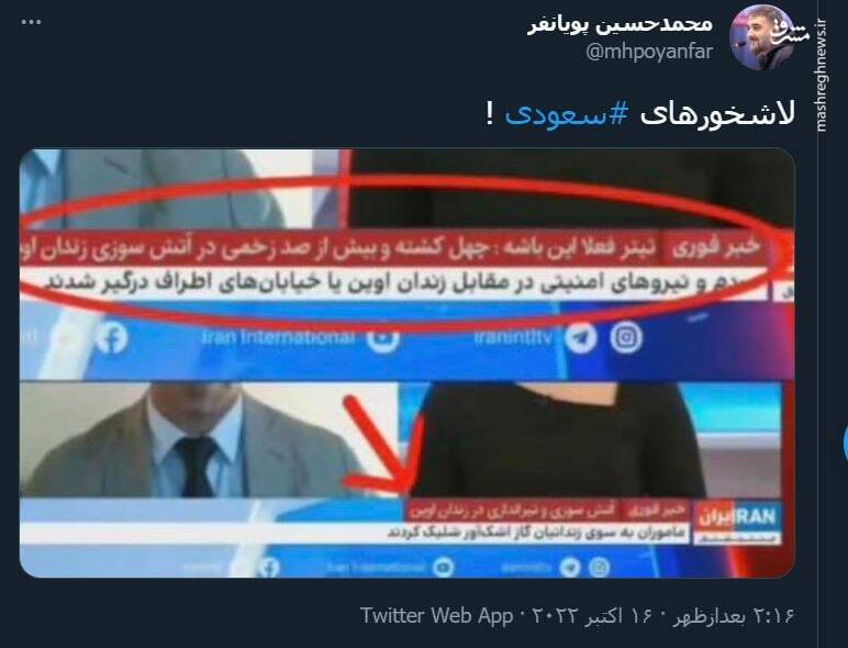 لاشخورهای سعودی !+ عکس لاشخورهای سعودی !+ عکس