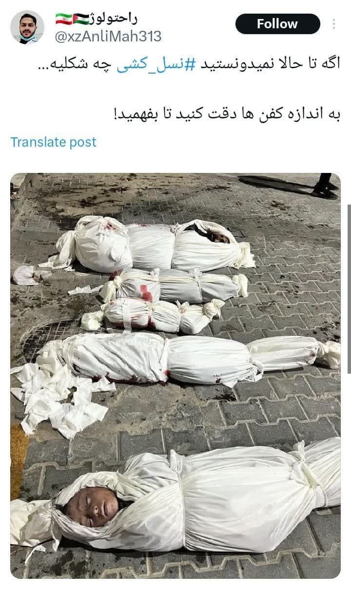 نسل کشی یعنی این +عکس