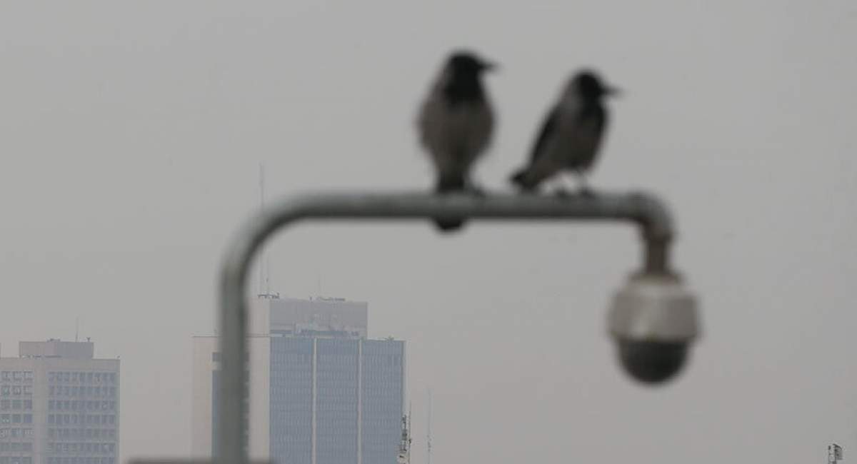 آلودگی هوا به شهرهای صنعتی و پرجمعیت بازگشت