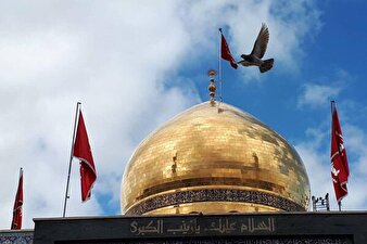 توصیه حضرت زینب (س) به آیت‌الله حق‌شناس