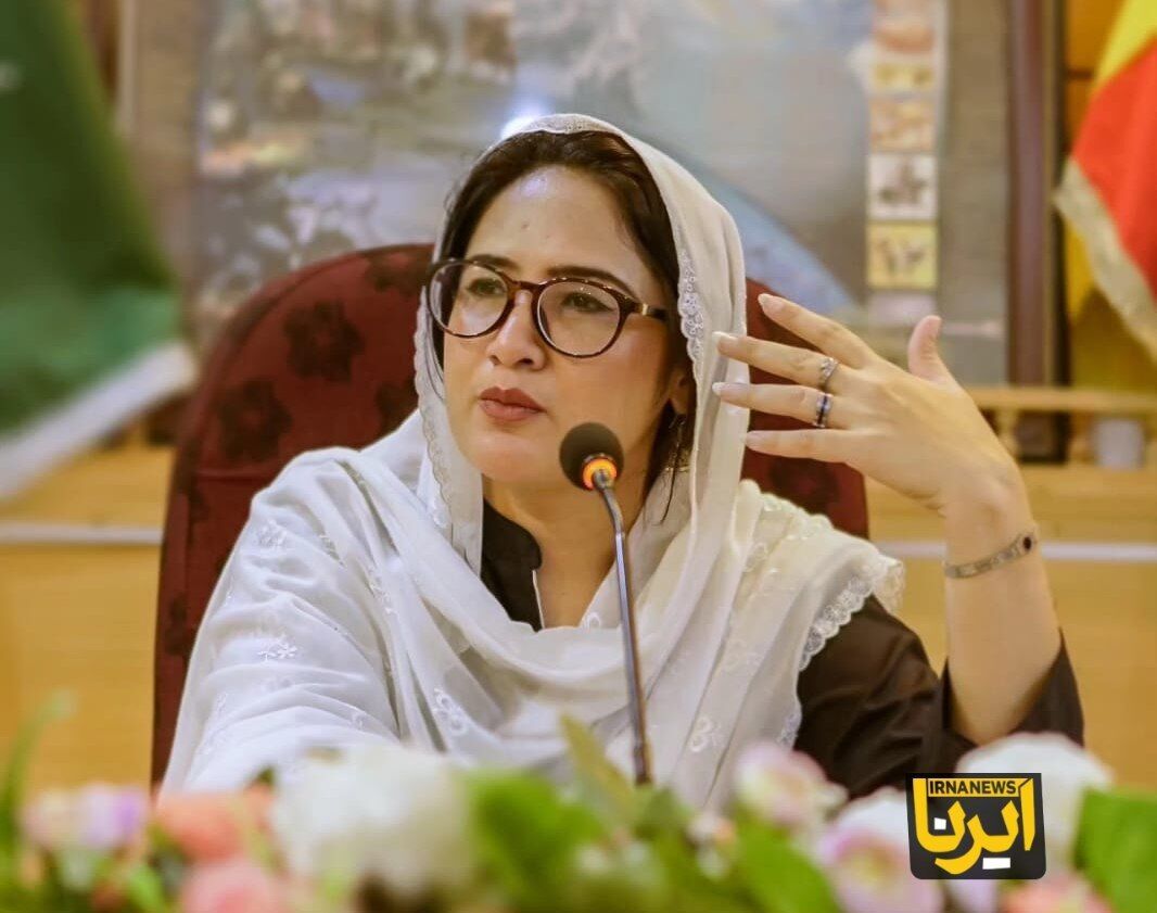 استاد دانشگاه پاکستان: ایران تسلیم فشارخارجی نمی&zwnj;شود