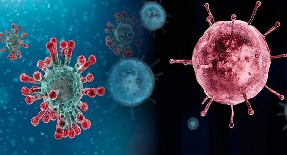 زمان شروع احتمالی پیک بعدی آنفلوآنزا در ایران