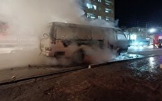 آنچه می توان از حوادث تلخ دی ماه ۱۴۰۴ گفت...