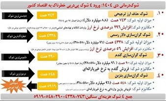 نقش دولت در اغتشاشات با چهار شوک اقتصادی!