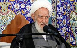 عنایت خاص امیرالمؤمنین به آیت‌الله ناصری چه بود؟