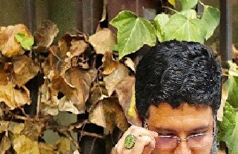 کج اندیشی تا به کجا؟!/از کدام فرهنگ می گویید...؟+عکس