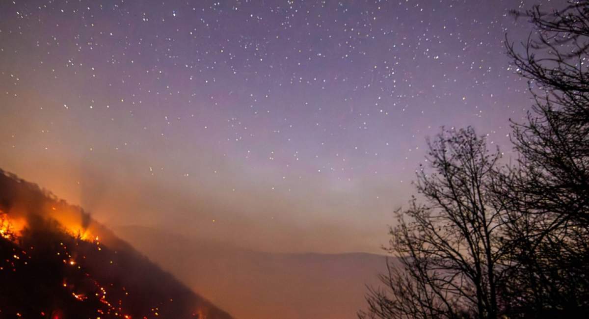 ۱۵۰ تا ۱۸۰ هکتار جنگل الیت درگیر آتش شد